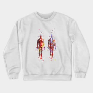 Muscular System Crewneck Sweatshirt